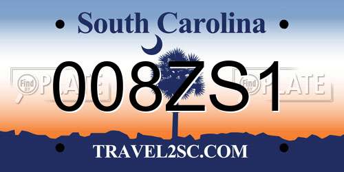 008ZS1 South Carolina License Plate