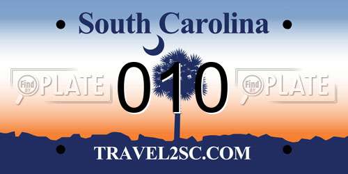 010 South Carolina License Plate