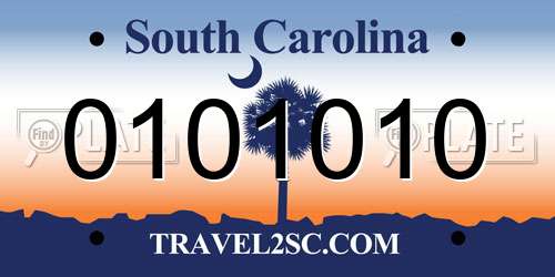 0101010 South Carolina License Plate
