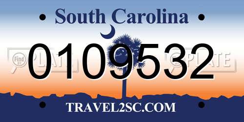 0109532 South Carolina License Plate
