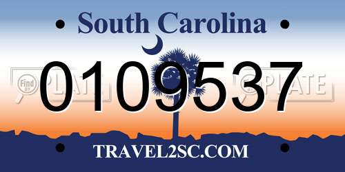 0109537 South Carolina License Plate