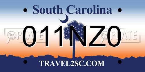 011NZ0 South Carolina License Plate