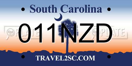 011NZD South Carolina License Plate