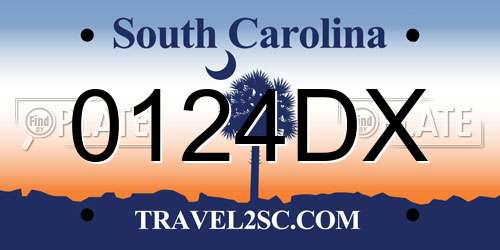 0124DX South Carolina License Plate
