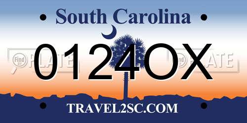 0124OX South Carolina License Plate
