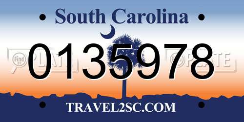 0135978 South Carolina License Plate