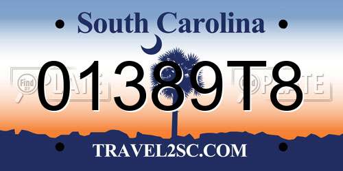 01389T8 South Carolina License Plate