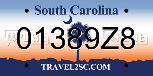 01389Z8 South Carolina License Plate