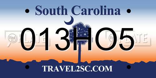 013HO5 South Carolina License Plate