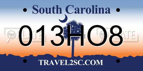 013HO8 South Carolina License Plate