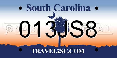 013JS8 South Carolina License Plate