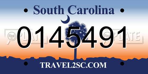 0145491 South Carolina License Plate