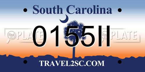 0155II South Carolina License Plate