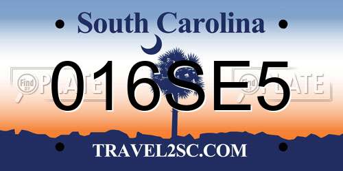 016SE5 South Carolina License Plate