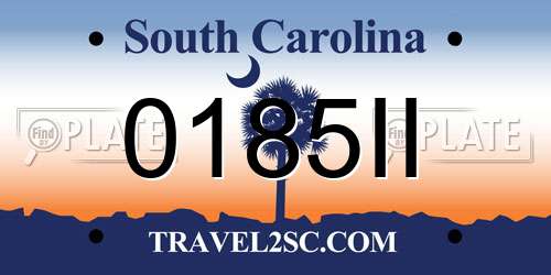0185II South Carolina License Plate