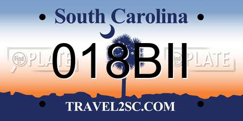 018BII South Carolina License Plate