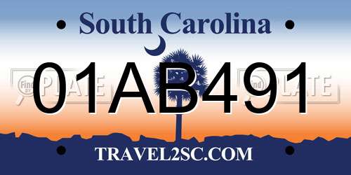 01AB491 South Carolina License Plate