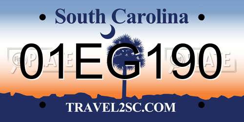 01EG190 South Carolina License Plate