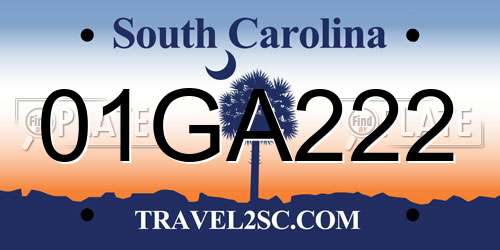 01GA222 South Carolina License Plate