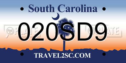 020SD9 South Carolina License Plate