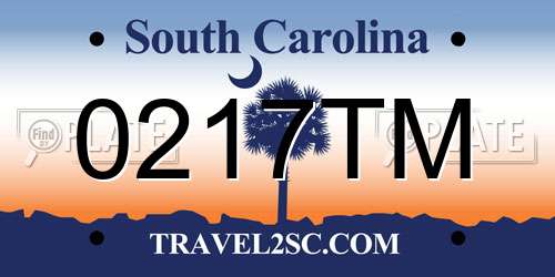 0217TM South Carolina License Plate