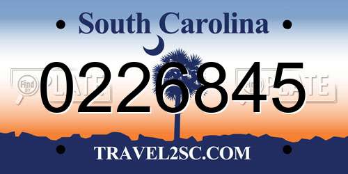 0226845 South Carolina License Plate