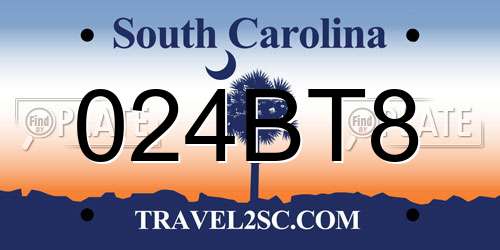 024BT8 South Carolina License Plate