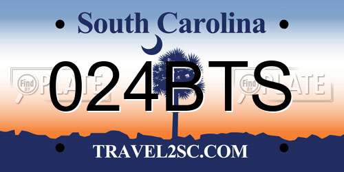 024BTS South Carolina License Plate