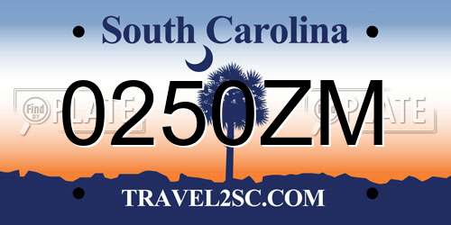 0250ZM South Carolina License Plate