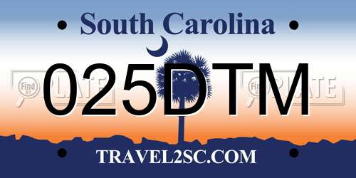 025DTM South Carolina License Plate