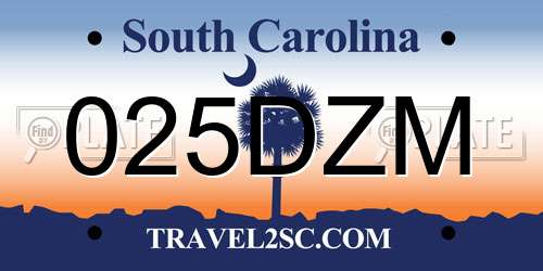 025DZM South Carolina License Plate