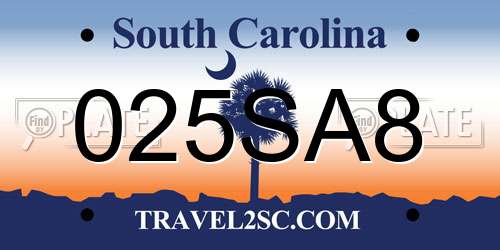 025SA8 South Carolina License Plate