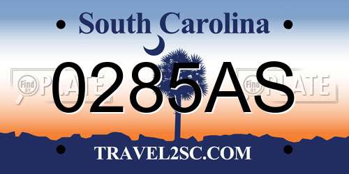 0285AS South Carolina License Plate
