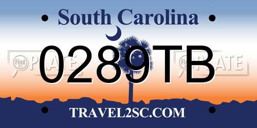 0289TB South Carolina License Plate