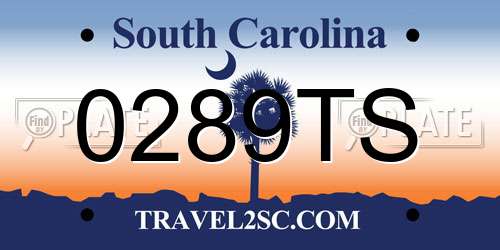0289TS South Carolina License Plate