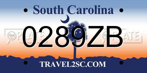 0289ZB South Carolina License Plate