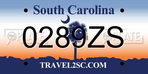 0289ZS South Carolina License Plate