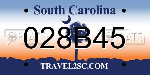 028B45 South Carolina License Plate