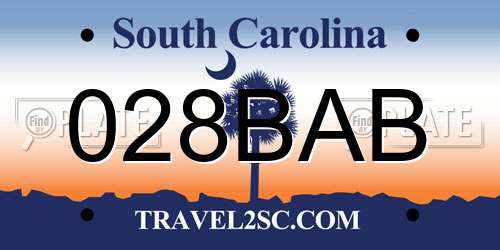 028BAB South Carolina License Plate