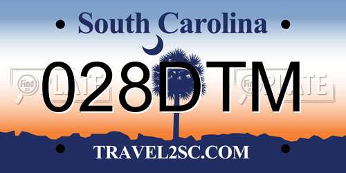 028DTM South Carolina License Plate