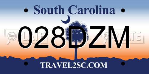 028DZM South Carolina License Plate