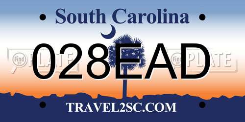028EAD South Carolina License Plate