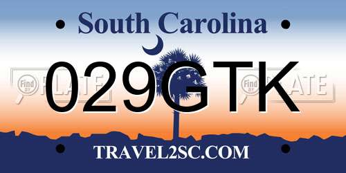 029GTK South Carolina License Plate