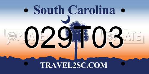 029T03 South Carolina License Plate