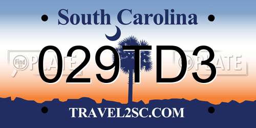 029TD3 South Carolina License Plate