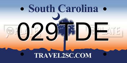 029TDE South Carolina License Plate