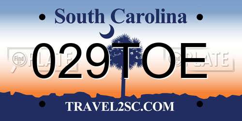 029TOE South Carolina License Plate