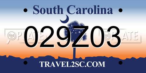 029Z03 South Carolina License Plate