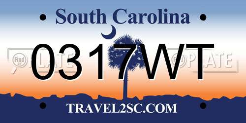 0317WT South Carolina License Plate