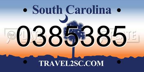 0385385 South Carolina License Plate
